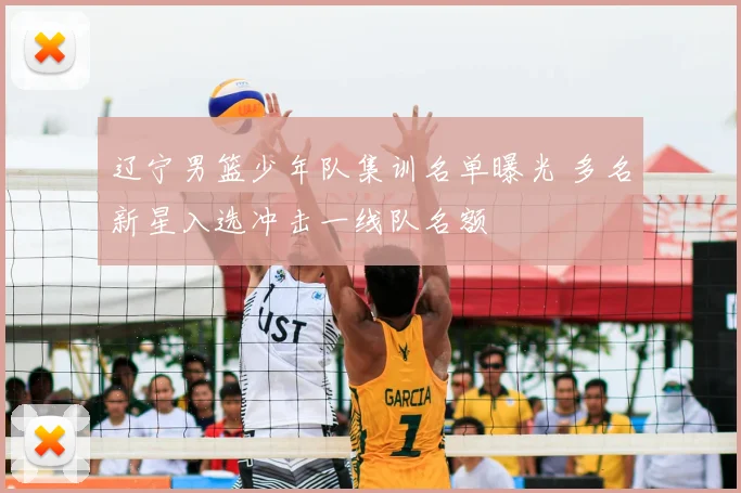 辽宁男篮少年队集训名单曝光 多名新星入选冲击一线队名额