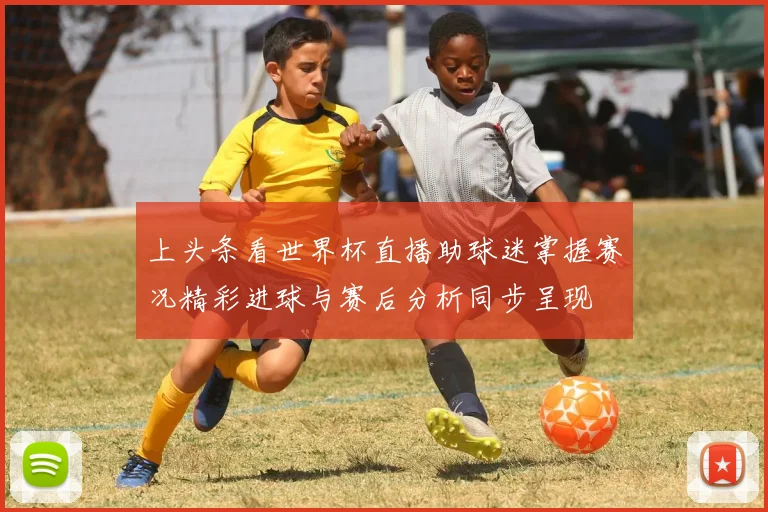 上头条看世界杯直播助球迷掌握赛况精彩进球与赛后分析同步呈现