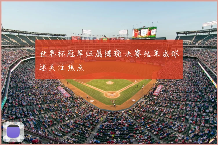 世界杯冠军归属揭晓 决赛结果成球迷关注焦点