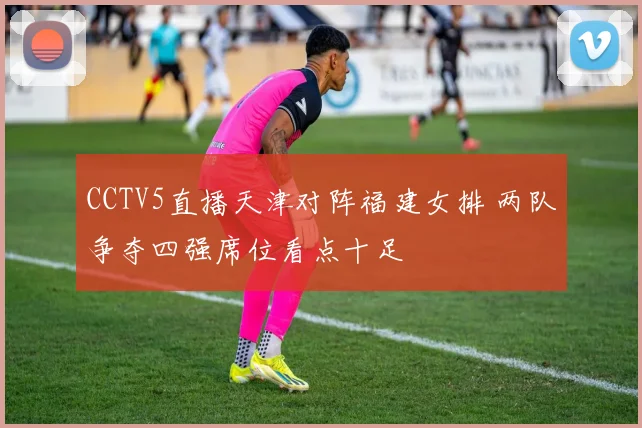 CCTV5直播天津对阵福建女排 两队争夺四强席位看点十足